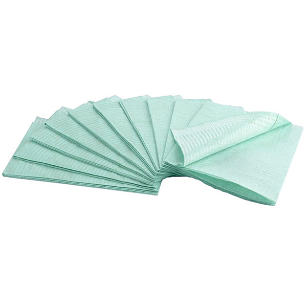 House Brand Patient Bibs GREEN 2-Ply Paper/1-Ply Poly 500/Cs